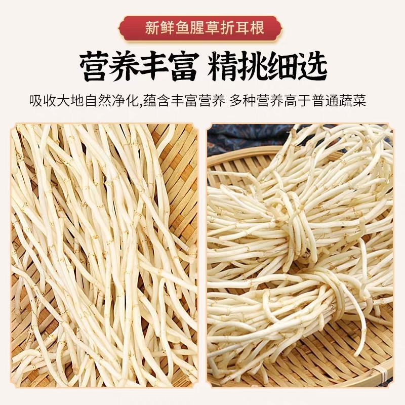 鱼腥草节节根产地一手货源保质保量量大从优