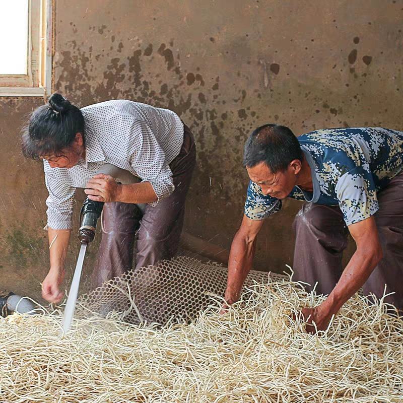 鱼腥草节节根产地一手货源保质保量量大从优