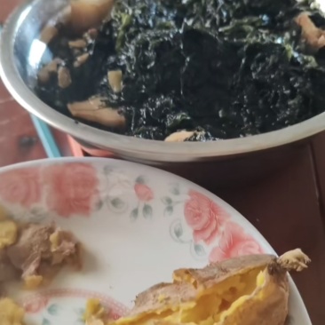 二水紫菜