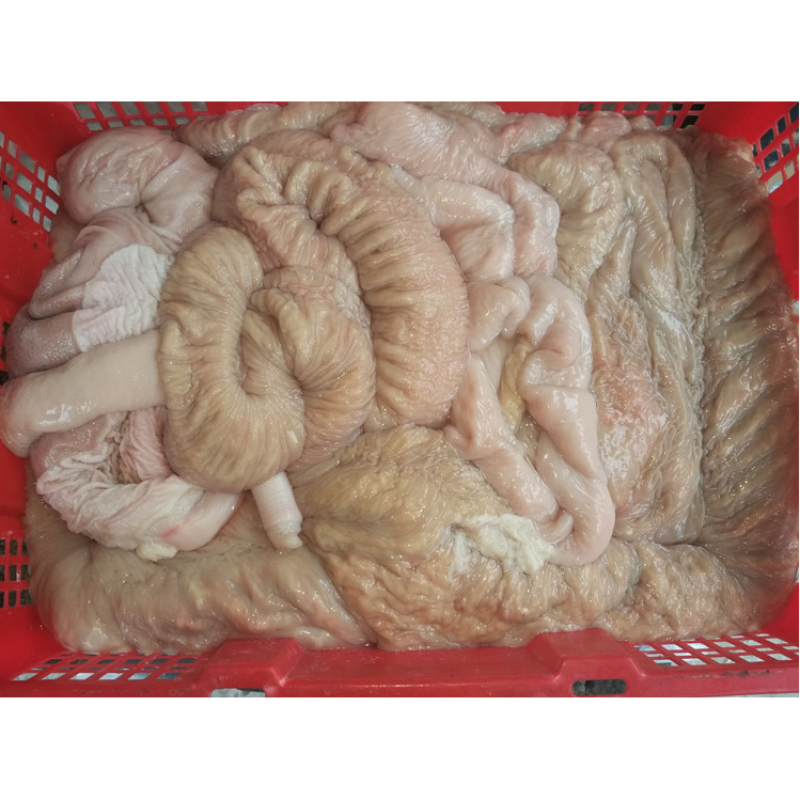 新鲜驴肠驴杂板肠肚子驴大肠生驴肠