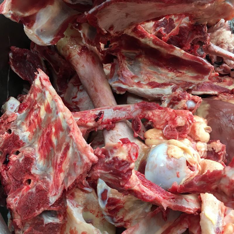 新鲜生驴骨头鲜骨头驴筒骨腿骨棒骨驴脊椎骨驴肉新鲜火锅食材