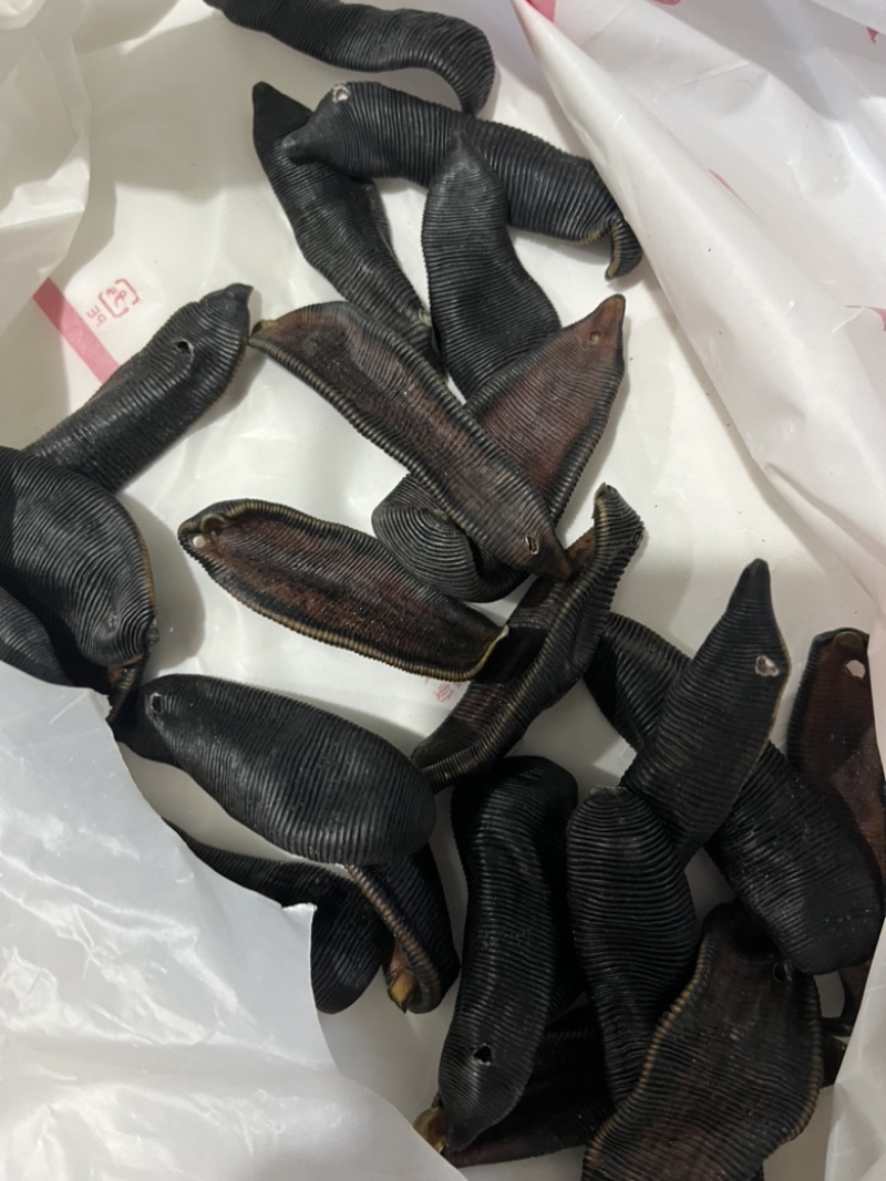 【文斌药业】水蛭宽体。清水吊干水蛭两种规格