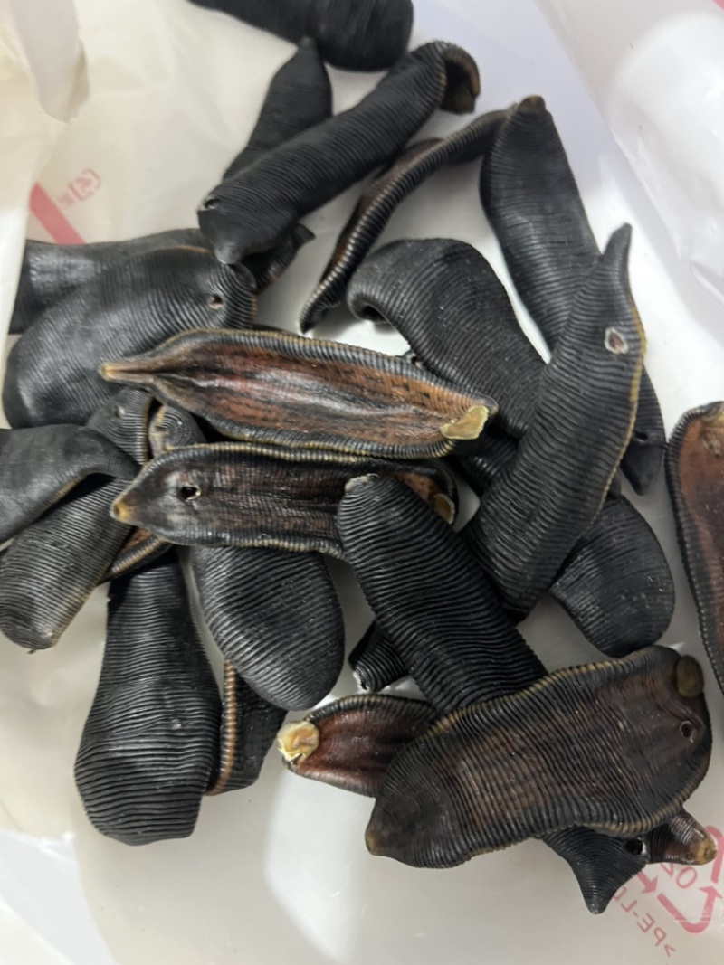 【文斌药业】水蛭宽体。清水吊干水蛭两种规格