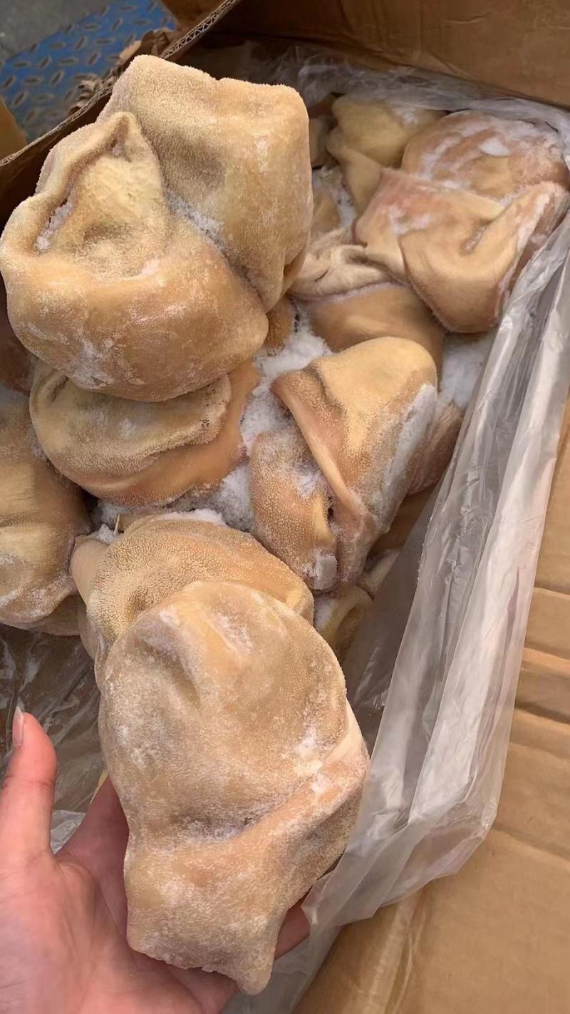 生羊肚，纯干货，全国冷链物流发货，货源稳定充足！！！！！
