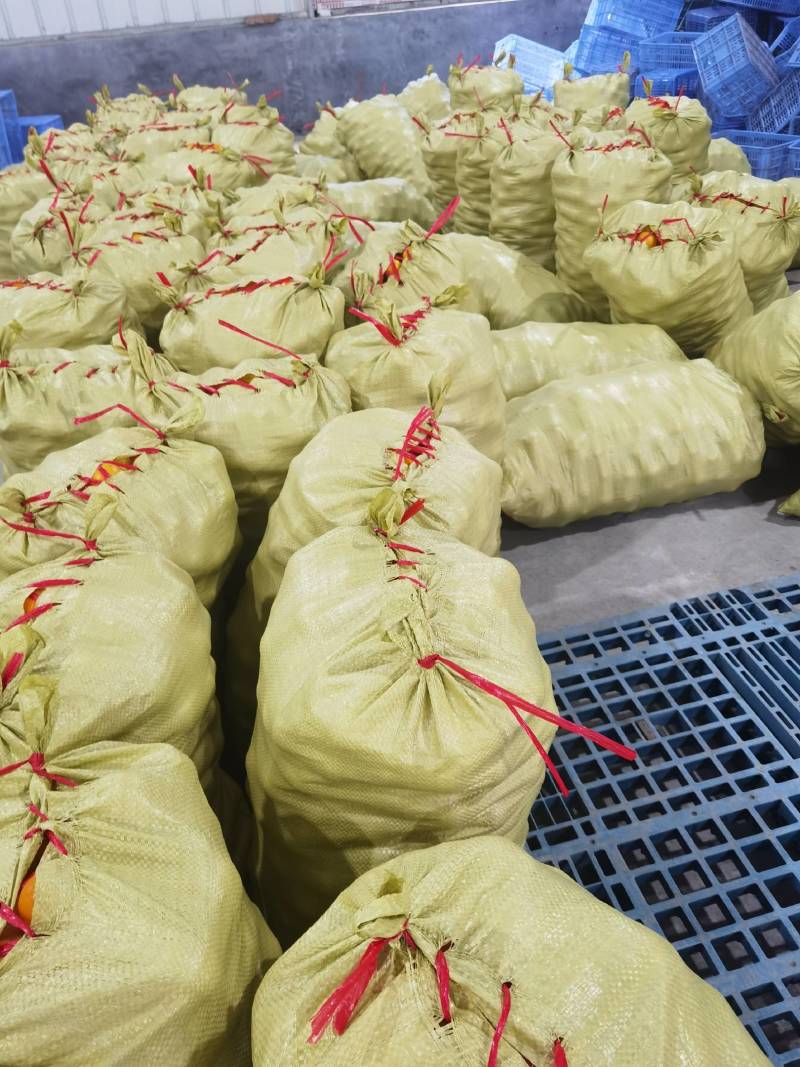 永兴冰糖橙