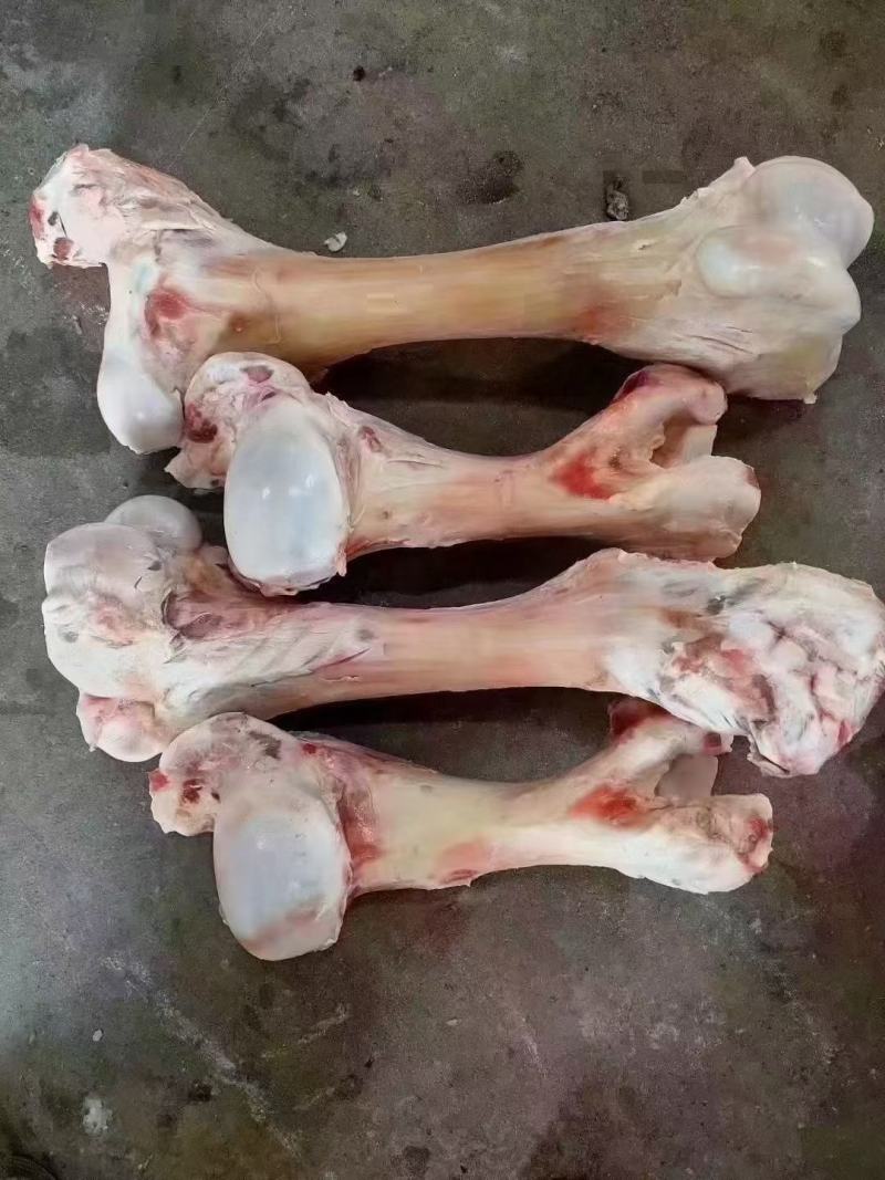 熬汤牛棒骨，全国冷链物流发货，货源稳定充足，厂家直销！！