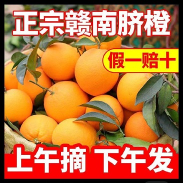赣南脐橙，10斤装，一件代发，电商货，社区团购全国包邮