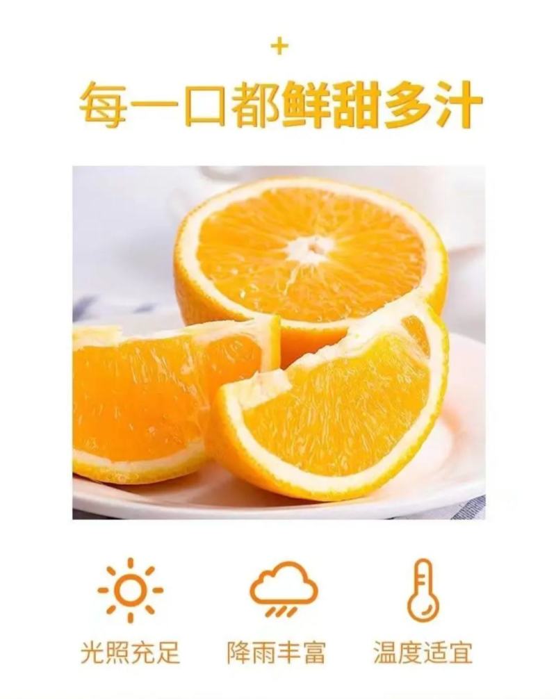 赣南脐橙实力代办，公平公正，不偏袒任何一方！客户至上！