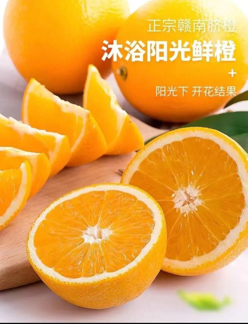 赣南脐橙实力代办，公平公正，不偏袒任何一方！客户至上！