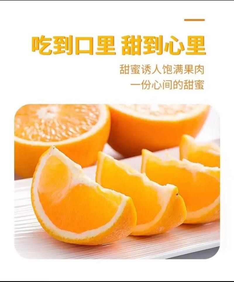 赣南脐橙实力代办，公平公正，不偏袒任何一方！客户至上！