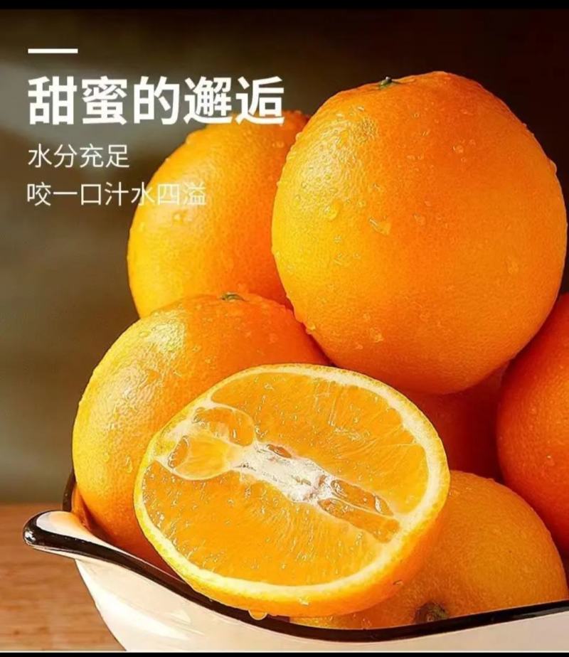 赣南脐橙实力代办，公平公正，不偏袒任何一方！客户至上！