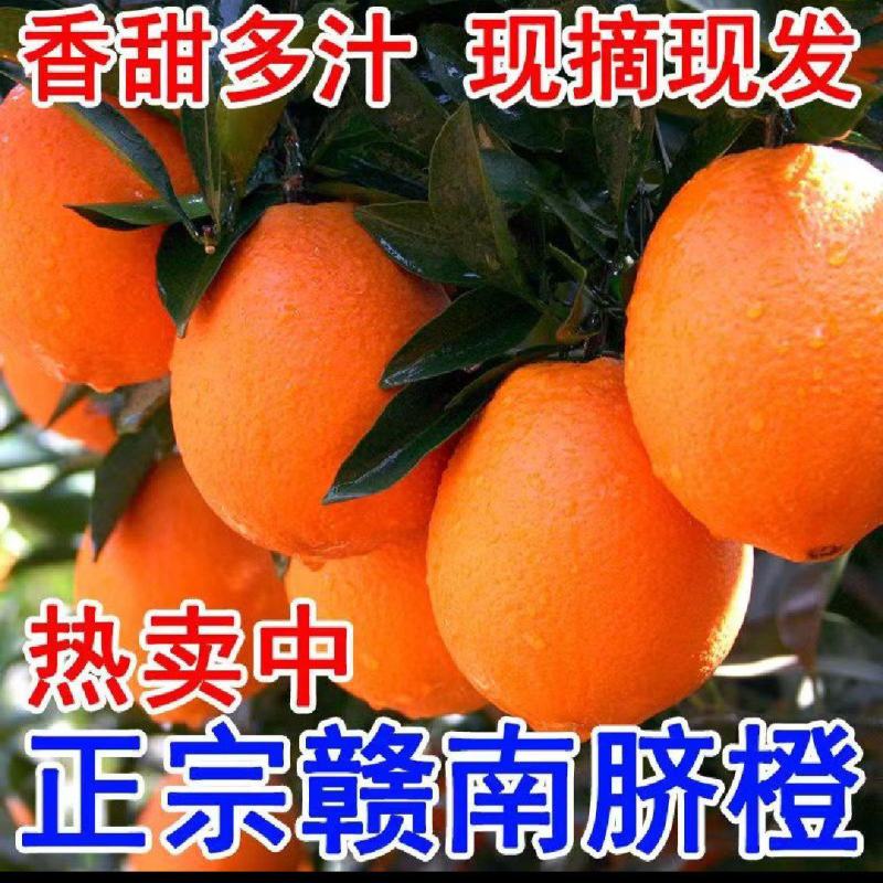 赣南脐橙实力代办，公平公正，不偏袒任何一方！客户至上！