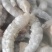 南美白大虾活虾速冻鲜虾仁无冰衣无泡发电商团购一件代发