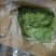 龙须菜凉菜火锅菜5斤山东特产凉拌菜天然海草鲜脆爽口包邮