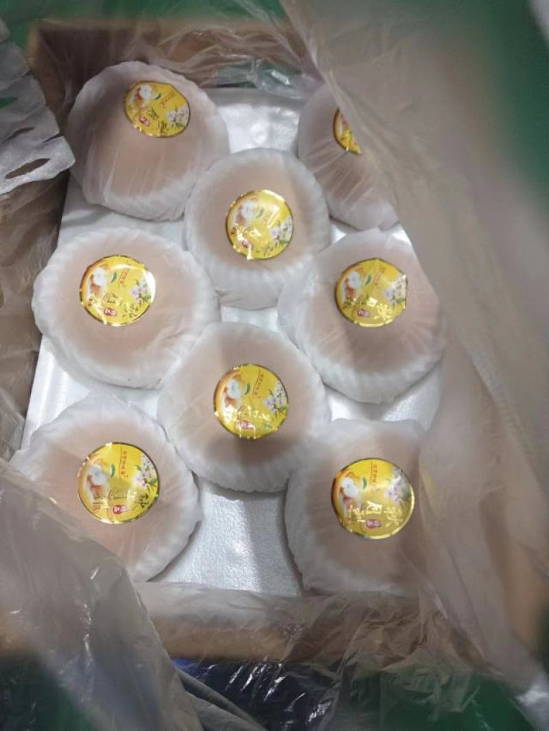 宁陵秋月梨大量有货，代办经验丰富，一条龙服务。欢迎咨询