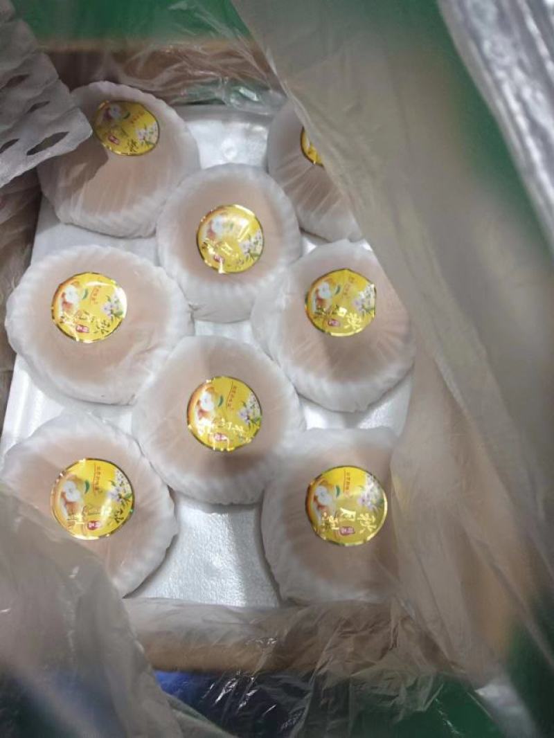 宁陵秋月梨大量有货，代办经验丰富，一条龙服务。欢迎咨询