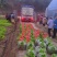 油菜苗，压地苗大量基地直供，量大从优，全国发货