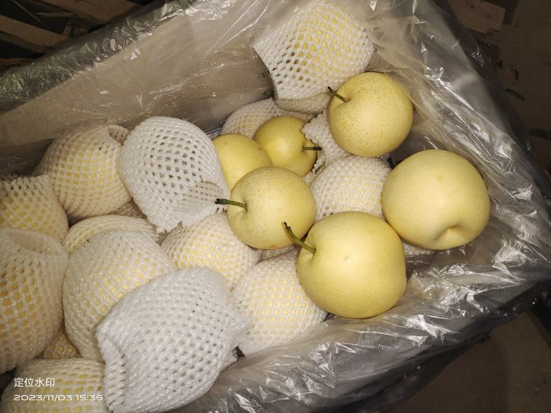 皇冠梨汁多脆甜，产地直供，保质保量