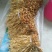 笋干八渡笋花笋片笋干传统纯手工制作自产自销一手货源