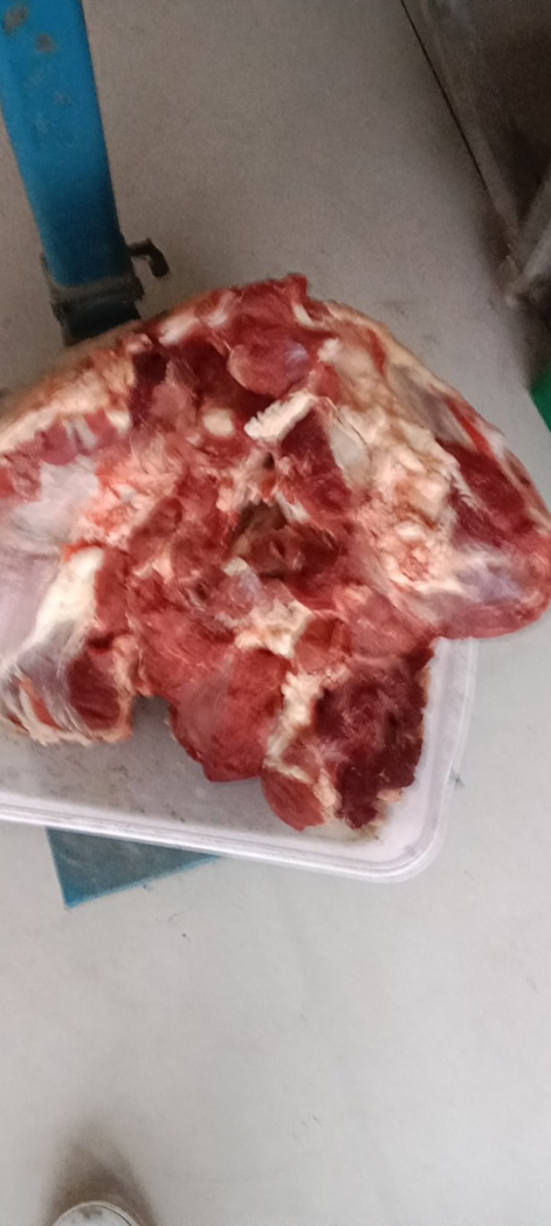 【牛肉】散养黄牛肉现杀现发可视频看货量大从优