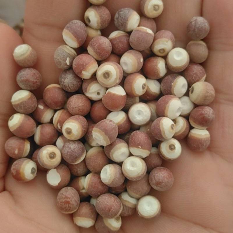 山东菏泽芡实芡实米，大量现货，鲁舜泽中药材商行