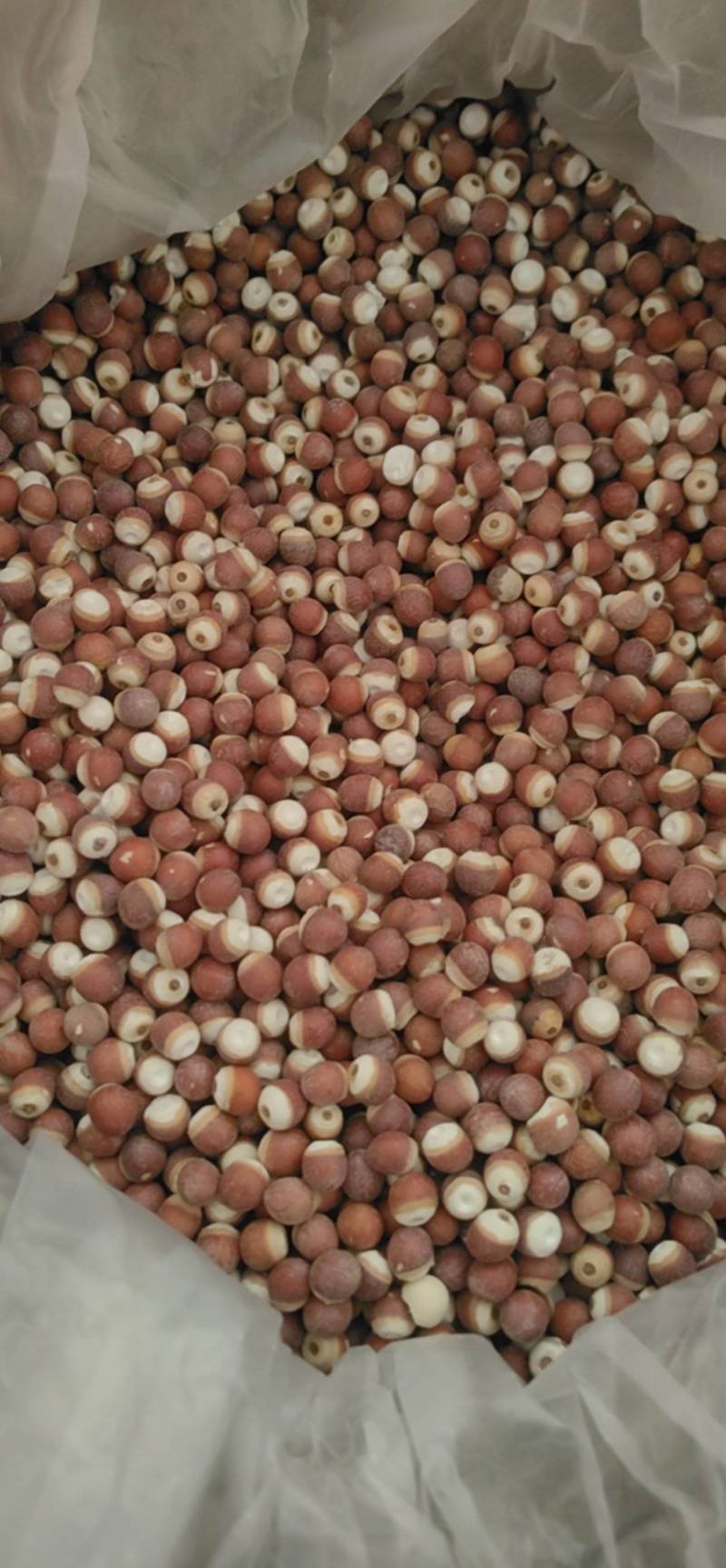 山东菏泽芡实芡实米，大量现货，鲁舜泽中药材商行