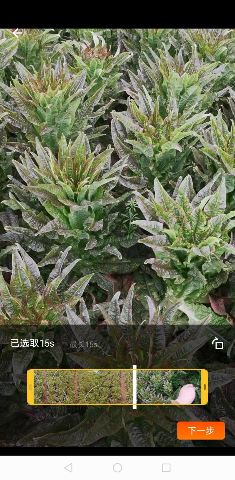精品