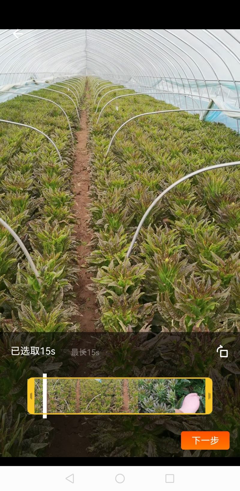 精品