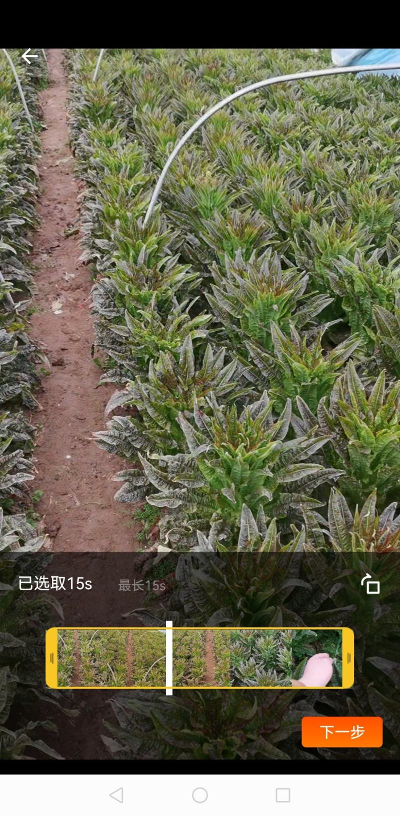 精品