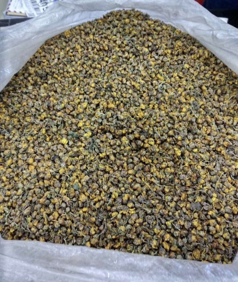 野菊花~野生菊花干货鲜货长期大量供应