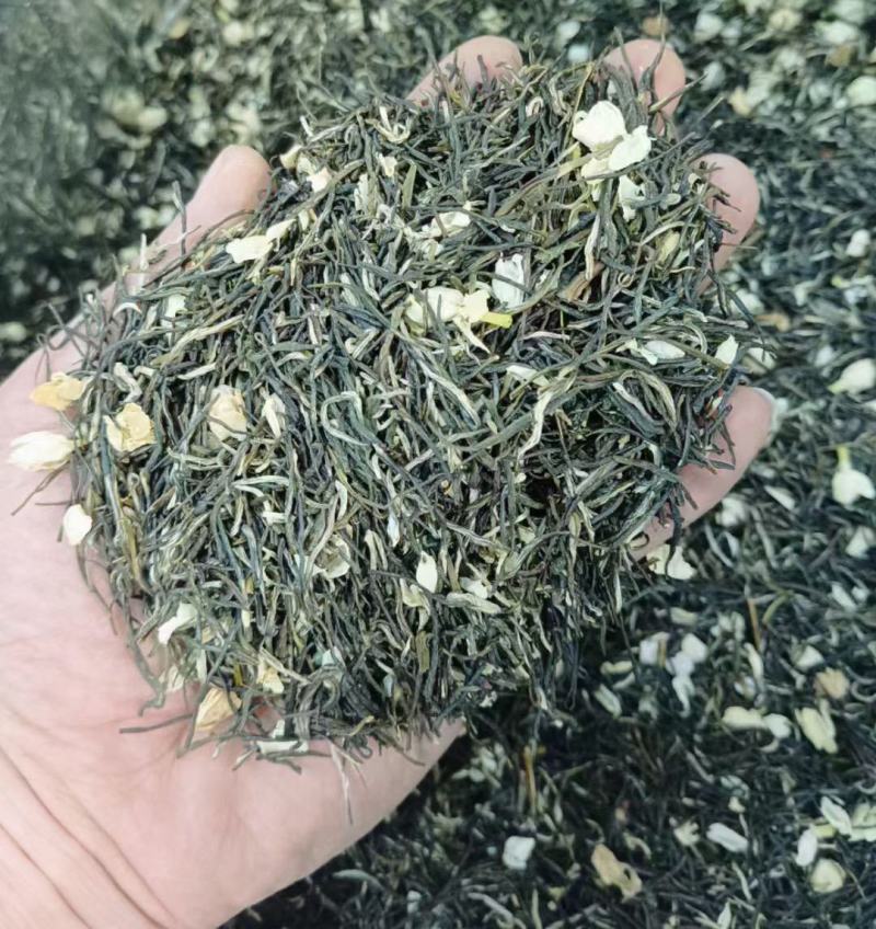 茉莉花茶批发