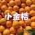 金桔产地直发