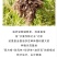 新疆精品油莎豆，颗颗饱满大量供应产地直发，可视频看货！
