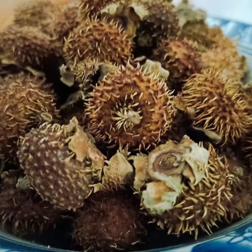 刺梨