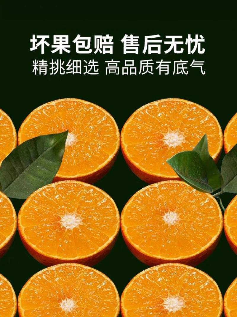 爱媛果冻橙一件代发整车发货落地配