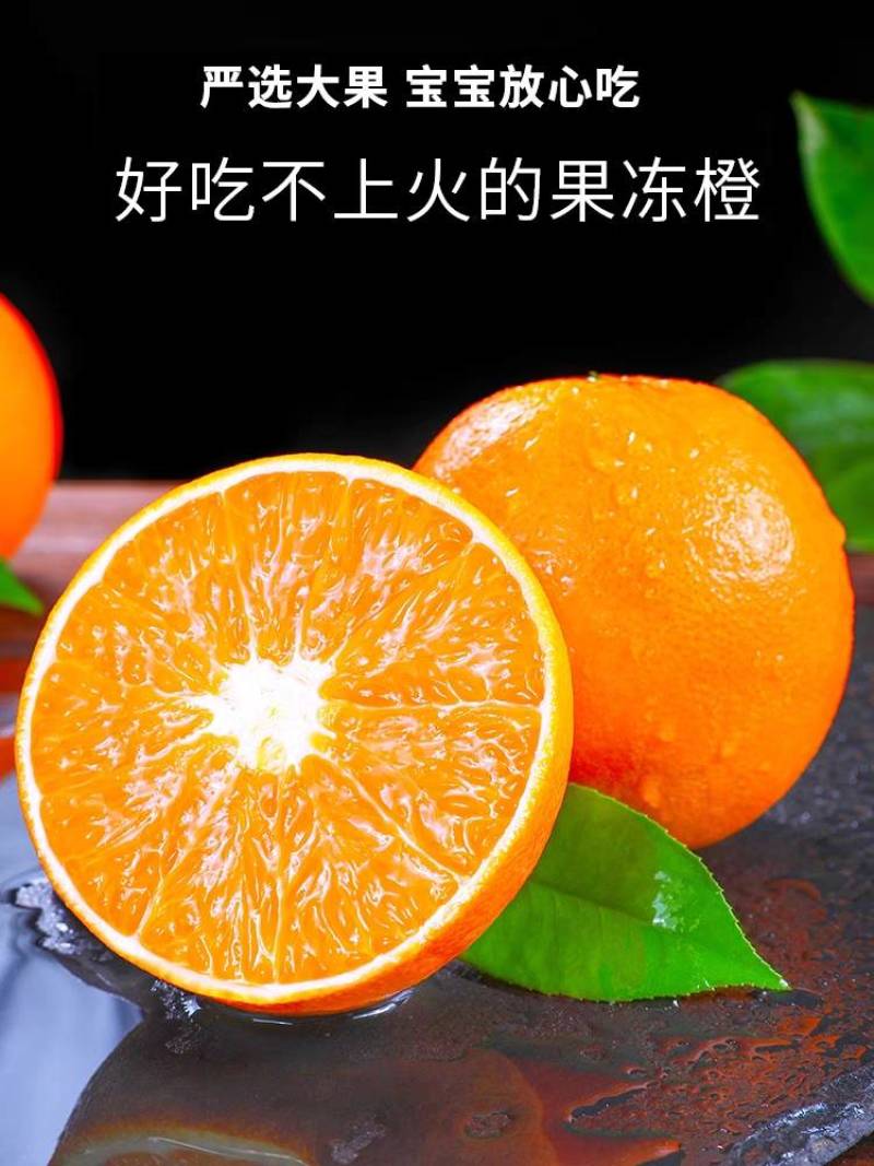 爱媛果冻橙一件代发整车发货落地配
