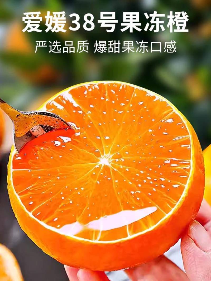 爱媛果冻橙一件代发整车发货落地配