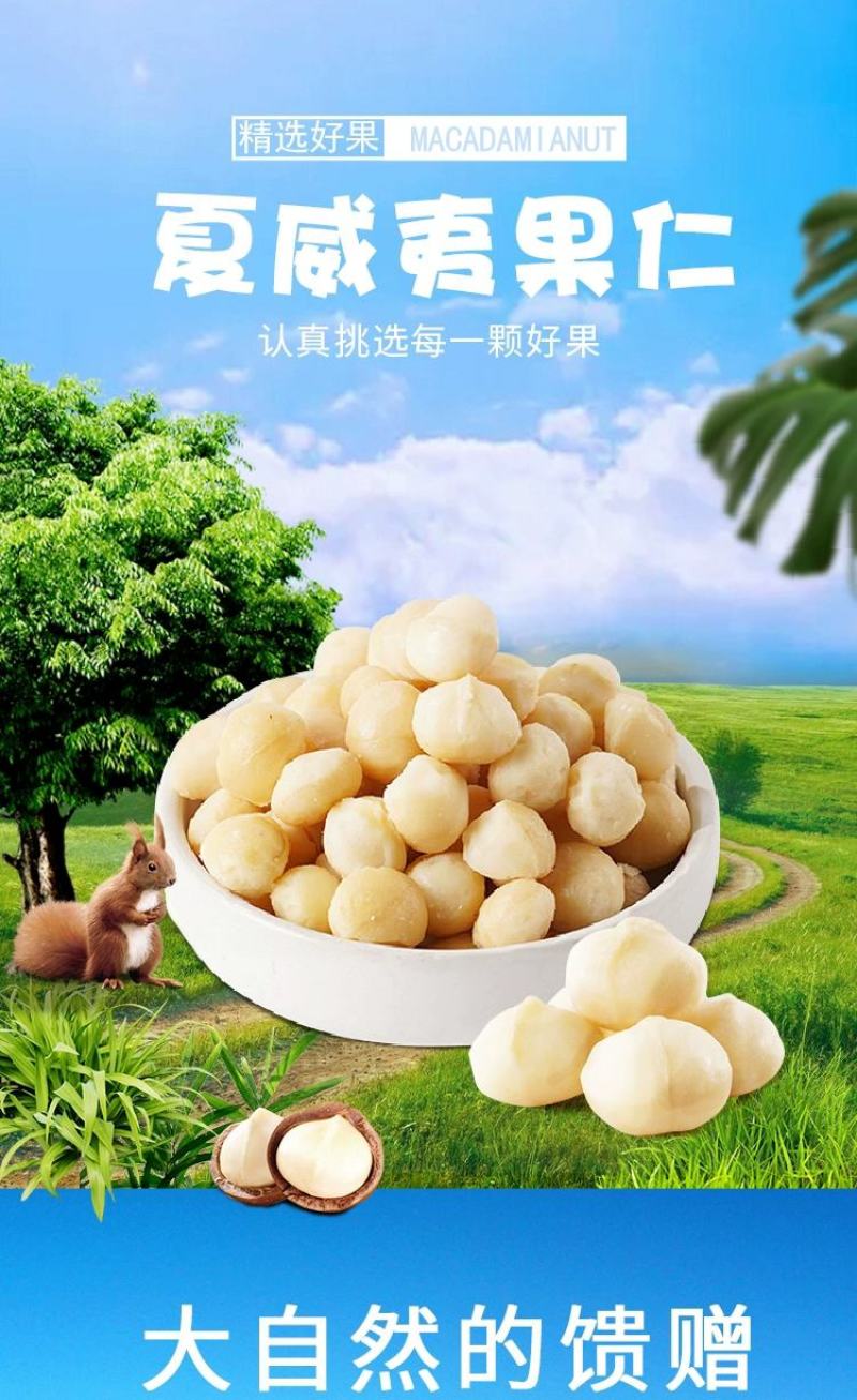 夏威夷果仁碎仁半粒500g原味生可可脆烘焙零食坚果即食熟