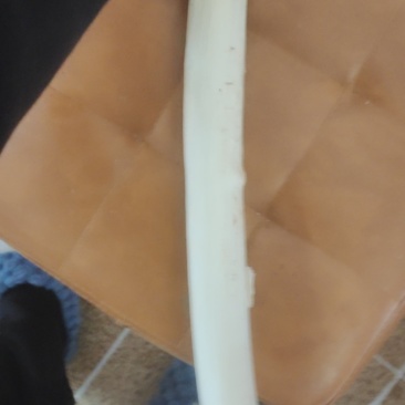 大葱