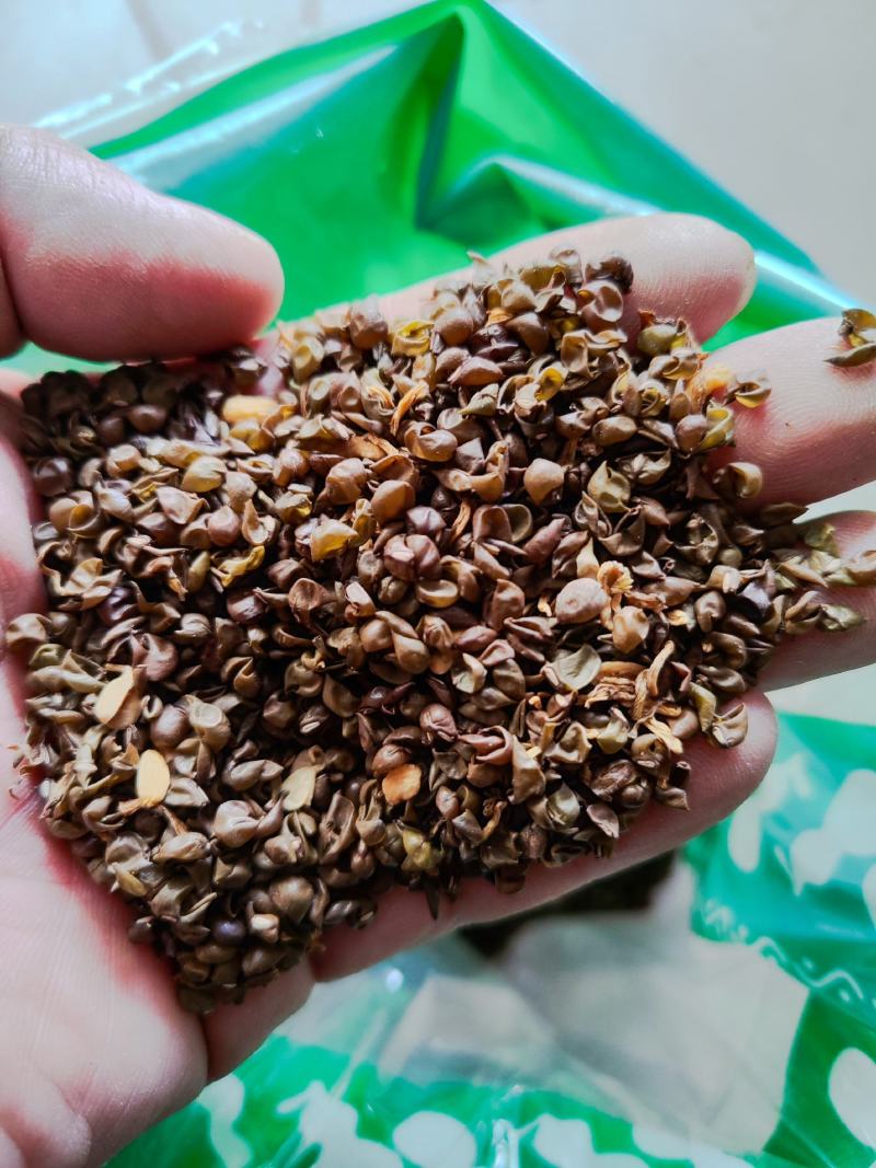 绿豆衣干货绿豆衣中药材欢迎选购！