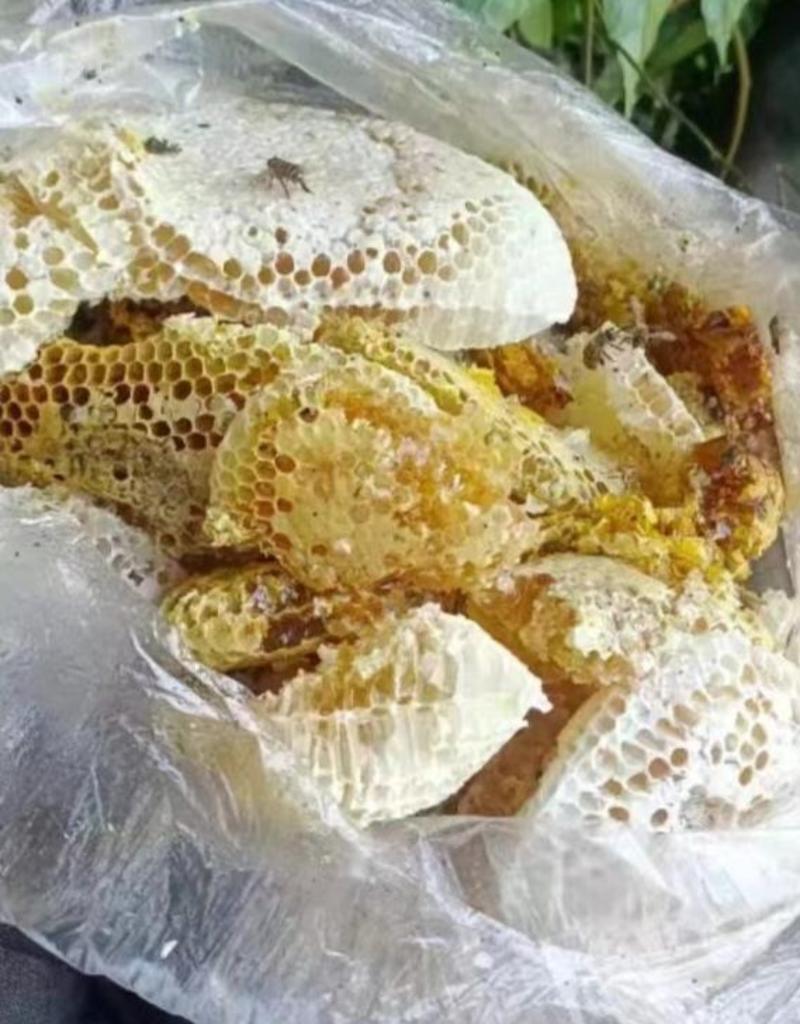 广西深山野蜂蜜正宗蜂蜜品质保证假一赔十支持一件代