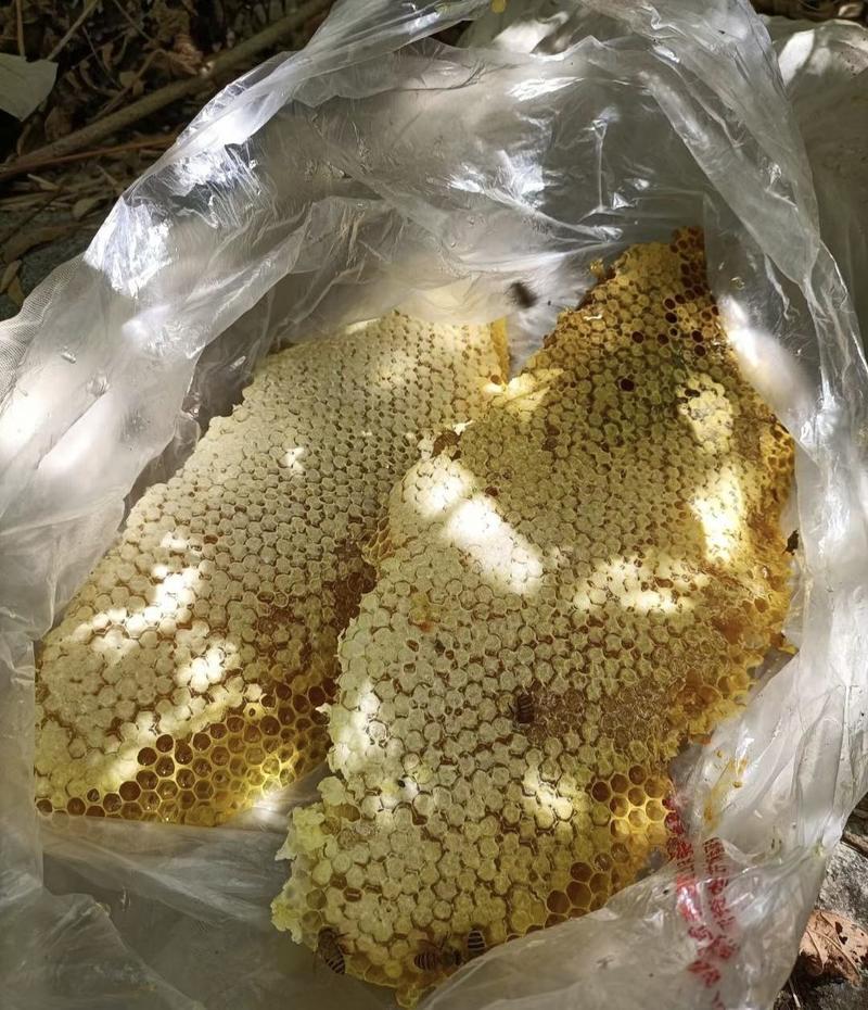 广西深山野蜂蜜正宗蜂蜜品质保证假一赔十支持一件代