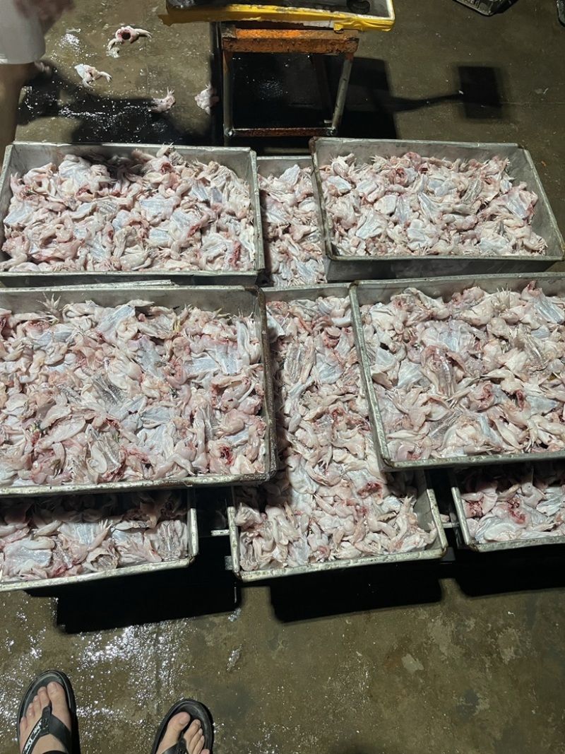 今年新出蛙肉真空包装大量有货大中小蛙块都有