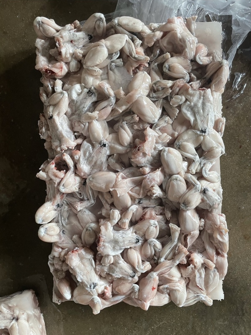 今年新出蛙肉真空包装大量有货大中小蛙块都有