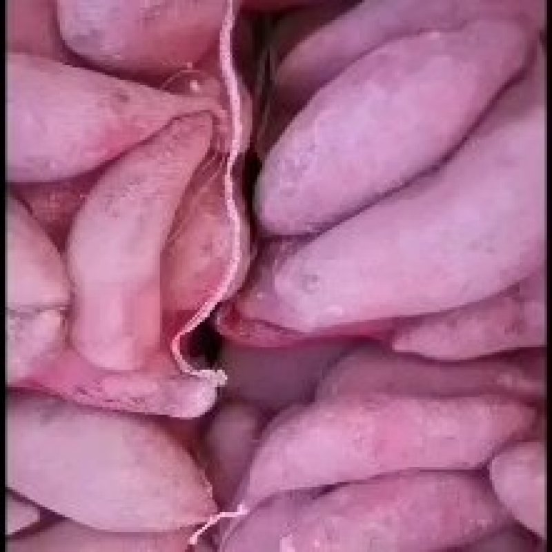 西瓜红红薯
