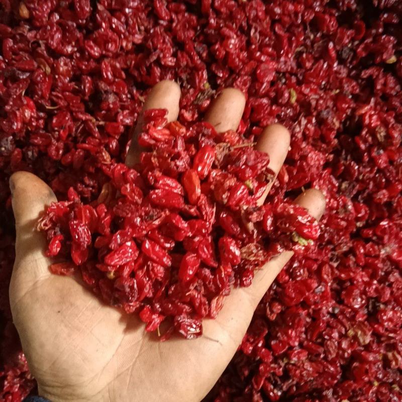 陕西秦岭腹地山茱萸肉产地一手货源质量保证一件代发