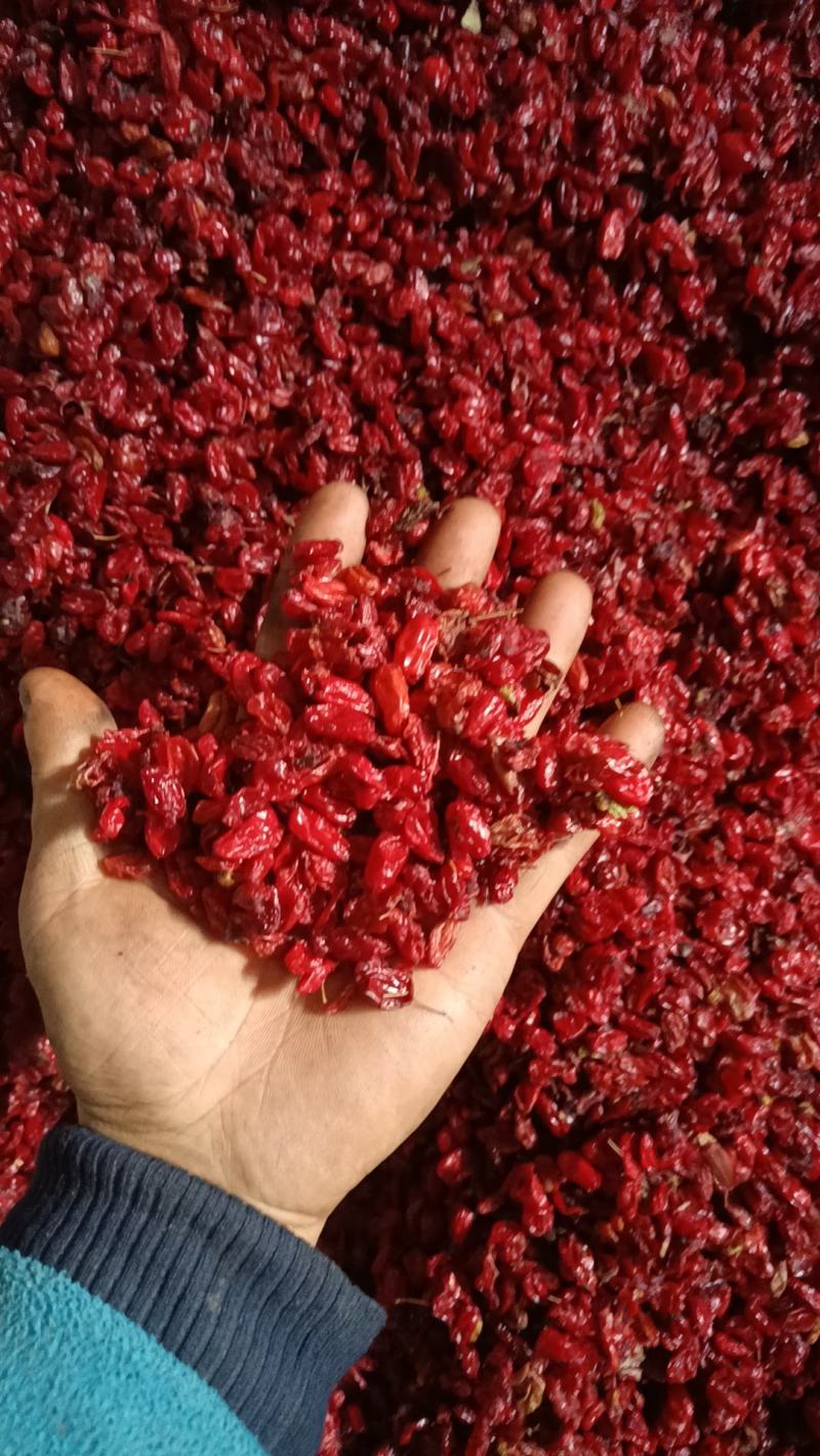 陕西秦岭腹地山茱萸肉产地一手货源质量保证一件代发