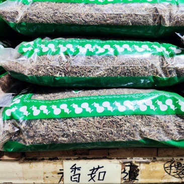香薷干货切段香茹香草中药材欢迎选购！