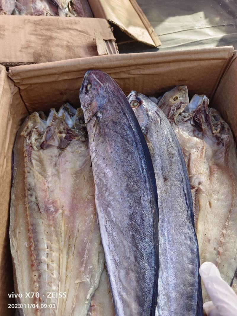 鲅鱼干