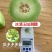 玉菇甜瓜苗玉姑苗苗厂现货直发冰清玉菇甜瓜苗